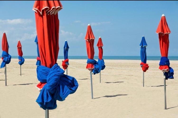 Studio Piscine Honfleur Deauville Équemauville Kültér fotó